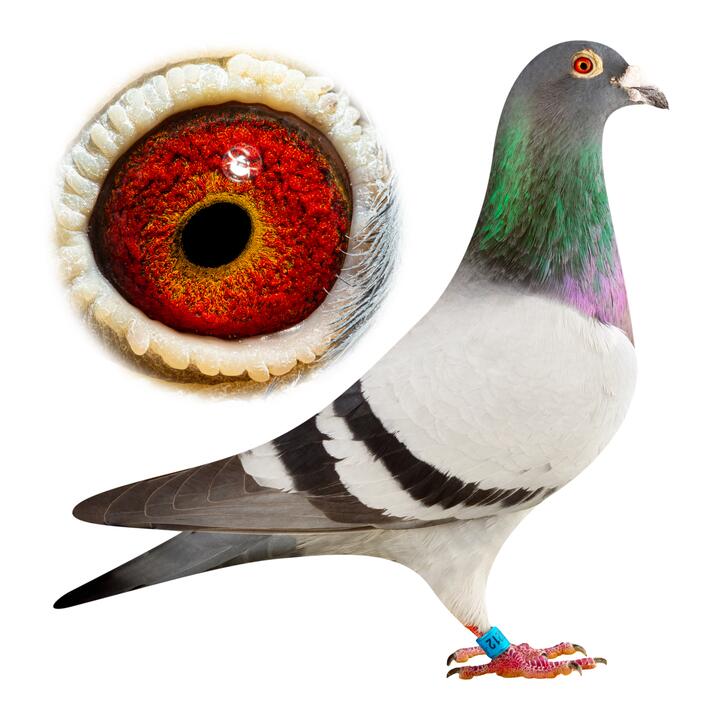 Johnny Depp x Mclaren 477 PIPA